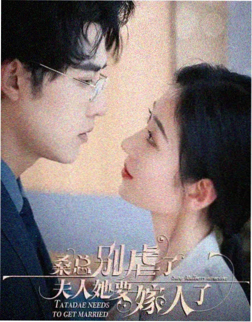 信号 免费观看